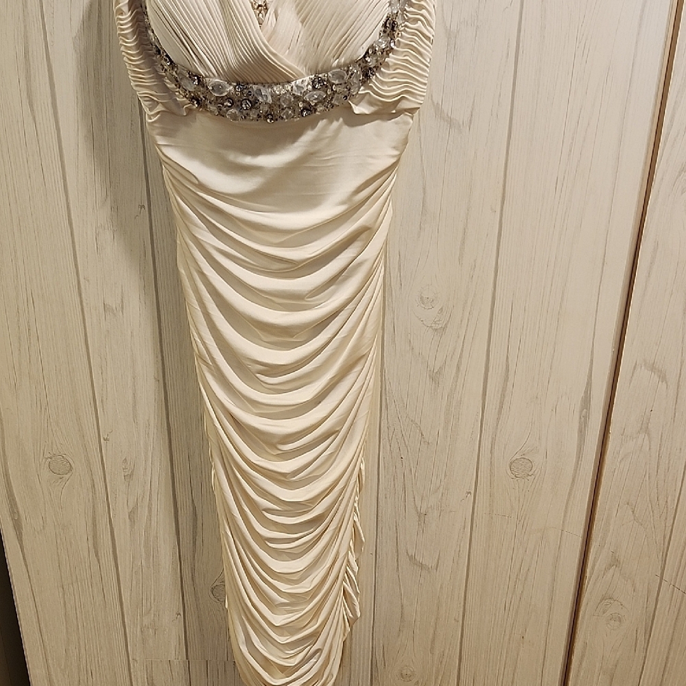 Cache Cream and Silver Backless Dress - Picture 5 of 11